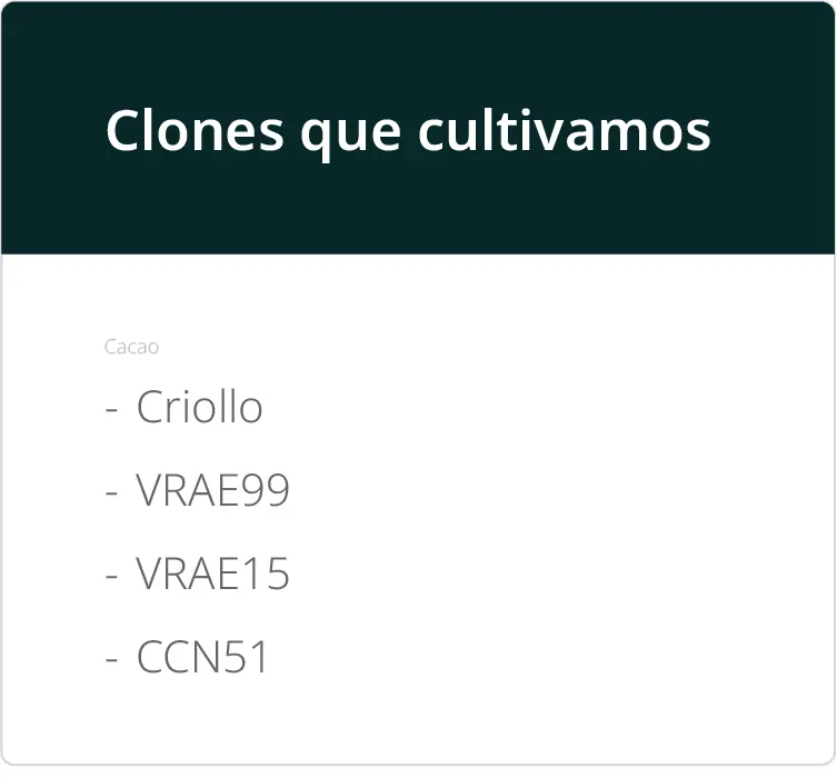 Recurso 15-100 Leyenda aprochok